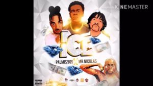 Ice Remix Palmis 509 x Mr Nicolas