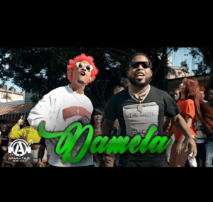 Chimbala ❌ Kiko El Crazy Damela Official Vidéo