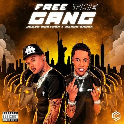 Free The Gang ›