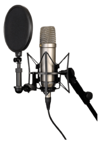 GOD SHADOW DE JN RABEL 509 5093081 large diaphragm cardioid condenser microphone rde hd png removebg preview 1