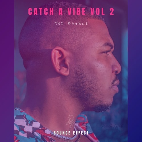 CATCH A VIBE VOL 2 - TED BOUNCE [ DOWNLOAD MP3 ]