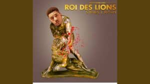 Roi Des Lions